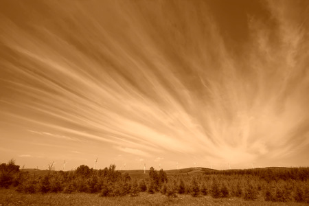 beautiful grassland landscape in summer, Chengde, Hebei Province, north chinaの写真素材