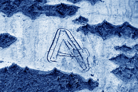 closeup of old populus tomentosa tree barkの写真素材