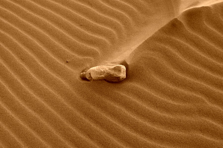 disused beverage bottle on the beach at the seaside, north chinaの写真素材
