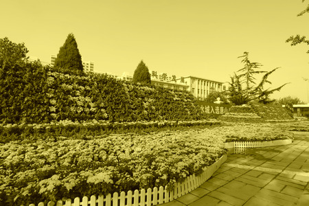 beautiful flowers in the park north chinaのeditorial素材
