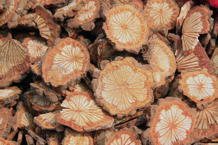 traditional Chinese flavor condiments, caulis spatholobi, closeup of photo