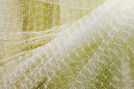 White nylon fishing nets, closeup of photoの写真素材
