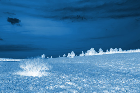 beautiful grassland landscape in summer, Chengde, Hebei Province, north chinaの写真素材