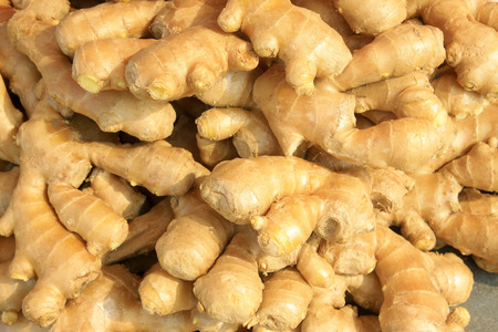 ginger, closeup of photo