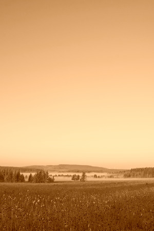 grassland and woods in fog in the morning, Chengde, Hebei Province, north chinaの写真素材