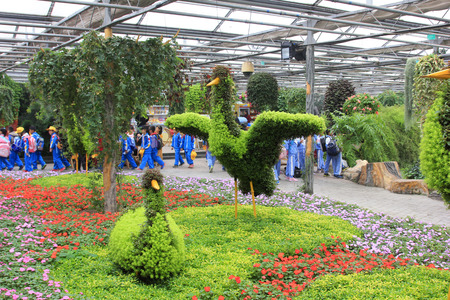 BEIJING - OCTOBER 23: birds modelling in a garden, on october 23, 2014, Beijing, China.のeditorial素材