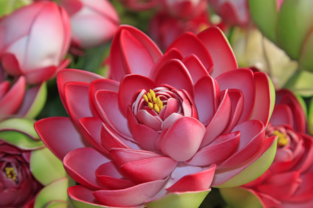 Lotus sculpture, closeup of photoの写真素材