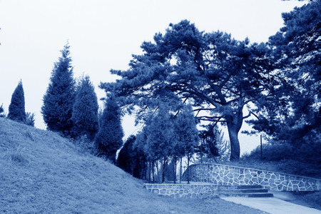 Green trees and channels in a park, Hebei, China.の写真素材