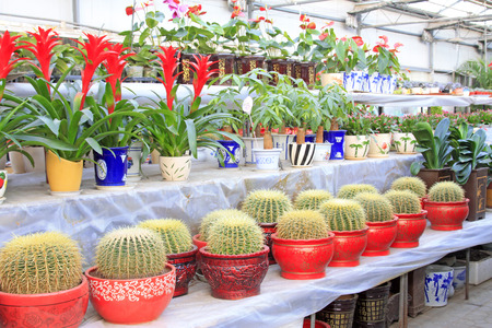 Golden ball and pineapple indoors, closeup of photoのeditorial素材