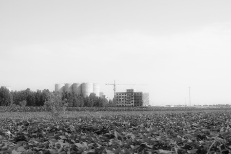 Farmland and unfinished buildingの写真素材