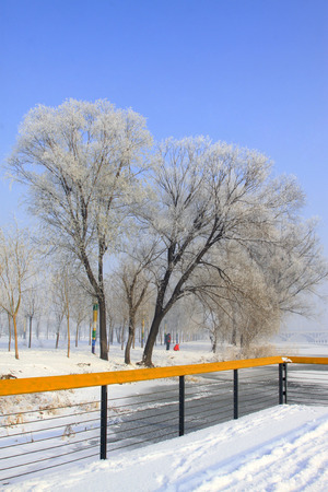 Natural landscape with rime in north Chinaの写真素材