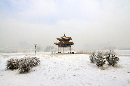 snow-covered landscape in a park, closeup of photoのeditorial素材