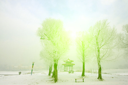 Rime scenery in a park, closeup of photoの写真素材