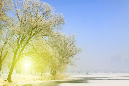 Rime natural landscape in north China, closeup of photoの写真素材