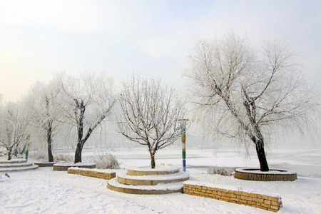 snow-covered landscape in a park, closeup of photoの写真素材