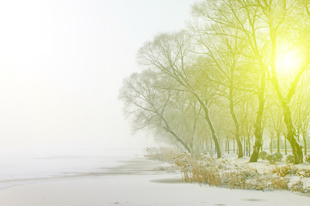Rime natural landscape in north Chinaの写真素材