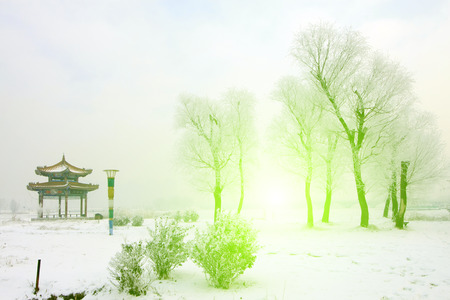 Rime scenery in a park, closeup of photoのeditorial素材