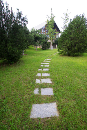 Stone path in the grass, closeup of photoのeditorial素材