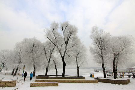 Rime scenery in a park, closeup of photoのeditorial素材