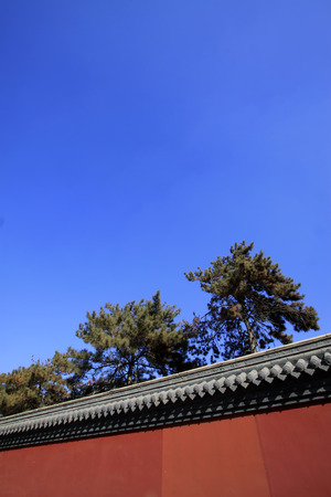 red walls and treesの写真素材