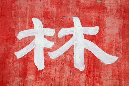 Chinese characters " forest " written on the wall, closeup of photoの写真素材