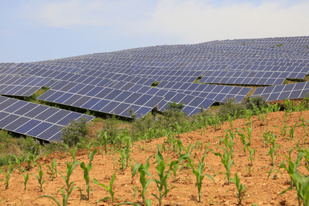 solar panel on the hillside