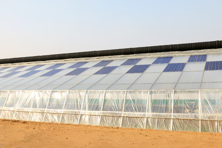 Solar greenhouses in a farmのeditorial素材