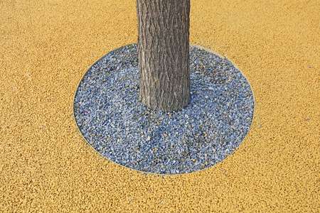 trunk and ground in a parkの写真素材