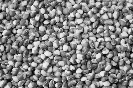 Piles of kidney bean in the market, closeup of photoの写真素材