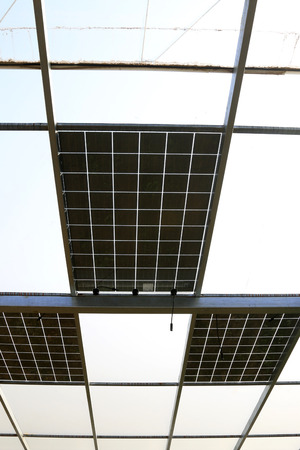 solar greenhouses, solar pv glass in a farmの写真素材