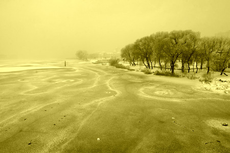 snow-covered landscape in a park, closeup of photoの写真素材