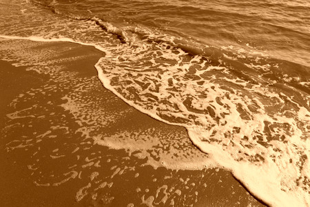 sand reef and water in the wild, natural landscapeの写真素材