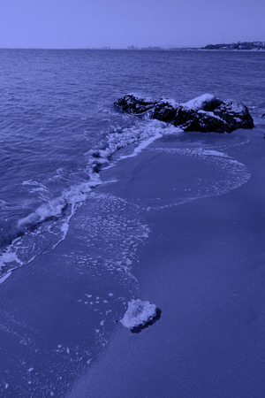 sand reef and sea in the wild