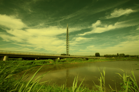 cable-stayed bridge under the skyの写真素材