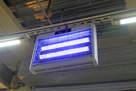 fly-killer lampのeditorial素材