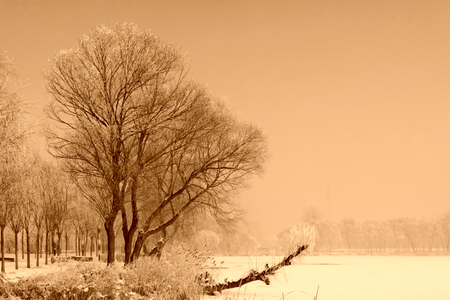 Rime natural landscape in north Chinaの写真素材