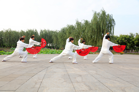 LUANNAN COUNTY - July 16: people practicing tai chi on July 16, 2016, Luannan county, Hebei Province, Chinaのeditorial素材
