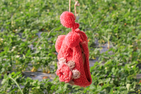 red woolen hat hung in the green background