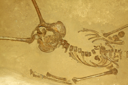 Luannan County - July 2: victims osseous remains in the Pandai village massacre memorial, on July 2, 2015, luannan county, hebei province, Chinaのeditorial素材