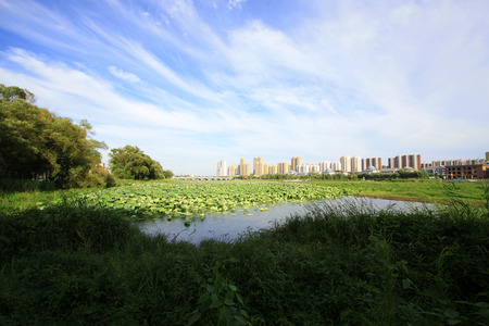 Waterfront city building scenery, Chinaの写真素材
