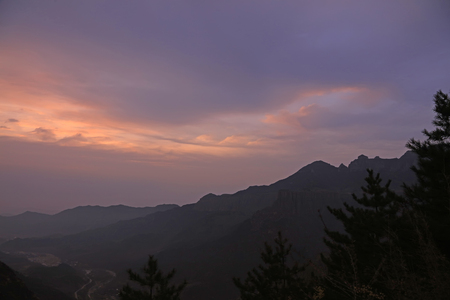 morning glow in the wild
の写真素材