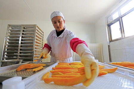 Luannan County - December 20, 2017: women cutting sweet potato in a workshop, Luannan County, Hebei Province, China

のeditorial素材
