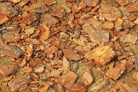 Pine bark fragments stacked together