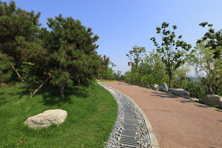 Hillside vegetation and sewers