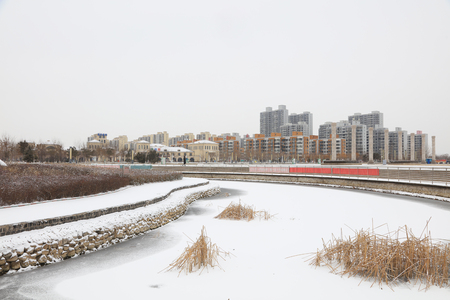winter scenery of Chinese Urban Parksのeditorial素材