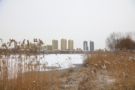 winter scenery of Chinese Urban Parksのeditorial素材