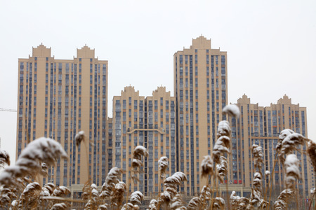 winter scenery of Chinese Urban Parksのeditorial素材