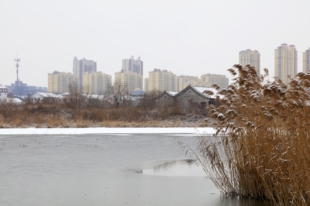 winter scenery of Chinese Urban Parksのeditorial素材