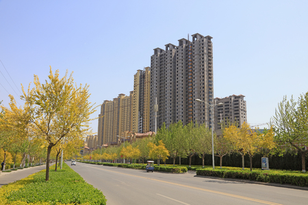 High-rise buildings and road greeningのeditorial素材