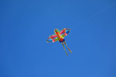 Kites are flying in the airの写真素材